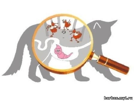 ПАРАЗИТЫ КОШЕК