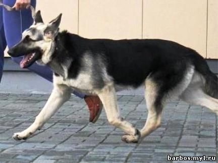 Команда «рядом»