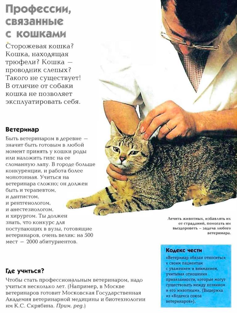 Профессии связанные с кошками список Профессии связанные с кошками список